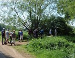 Rondleiding door het natuurgebied onder leiding van Jan, adviseur Natuur en Landschap..