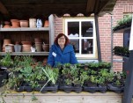 Alma's kraam met de planten staat gezellig tegenover de mijne.