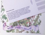 Detail wildeplantenomelet