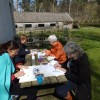 Tekenworkshop bister in de Muzetuin