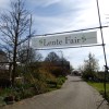 Lentefair 2015