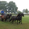 Dartmoor Jubileumdag